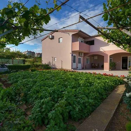 Judita アパート ザダル